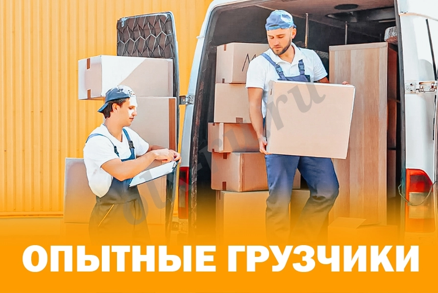 погрузка разгрузка