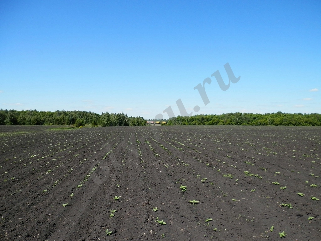 Участок, 460 сот, Земля промназначения