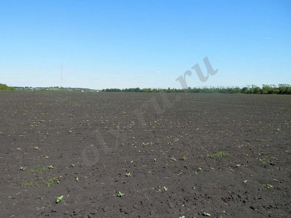 Участок, 460 сот, Земля промназначения