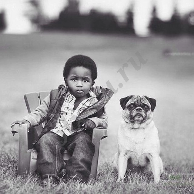 Услуги репетитора английского языка!!!