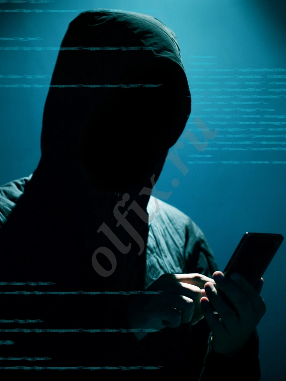 Программист, IT- Специалист