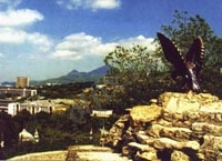 Обслуживание и ремонт ноутбуков