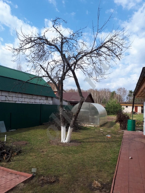 Обрезка Плодовых Деревьев