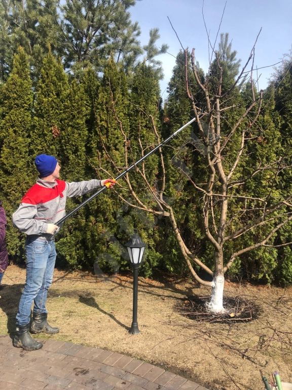 Обрезка Плодовых Деревьев