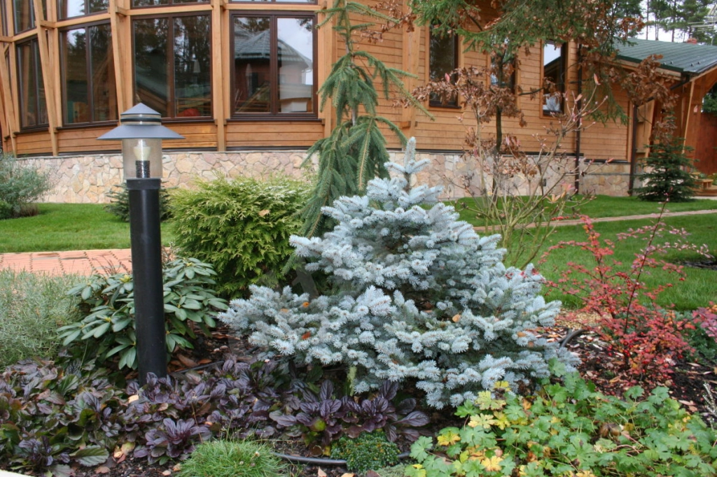 Услуги Садовника - Уход За Садом