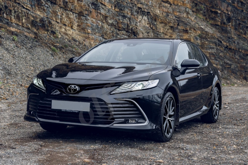 Пассажирские перевозки