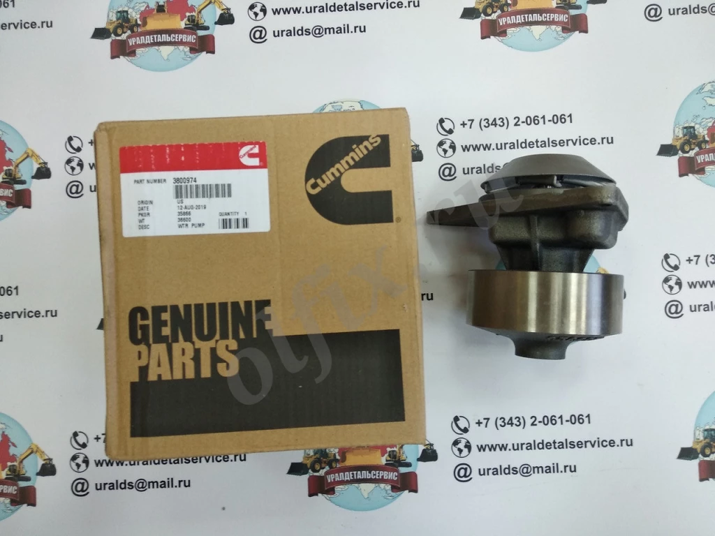 Водяной насос Cummins 3800974 (3802973, 3929612, 3285323, 4376357, 4955529, 3802442, 3973115)