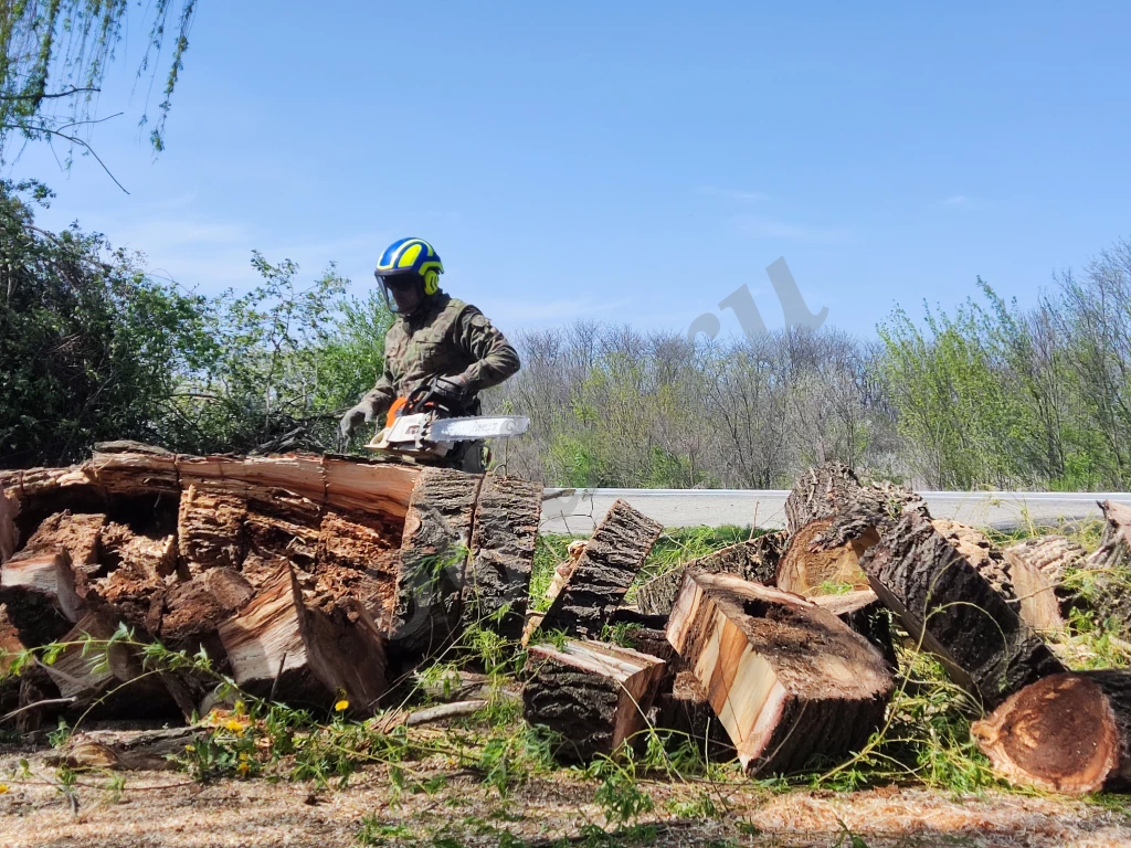 Спил деревьев любой сложности