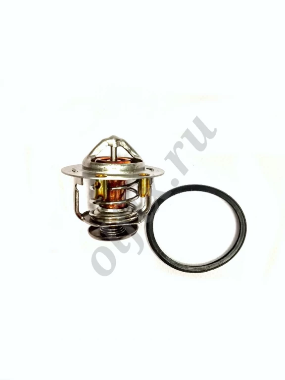 Термостат (наконечник длинный закрытый) 82С 8943973100