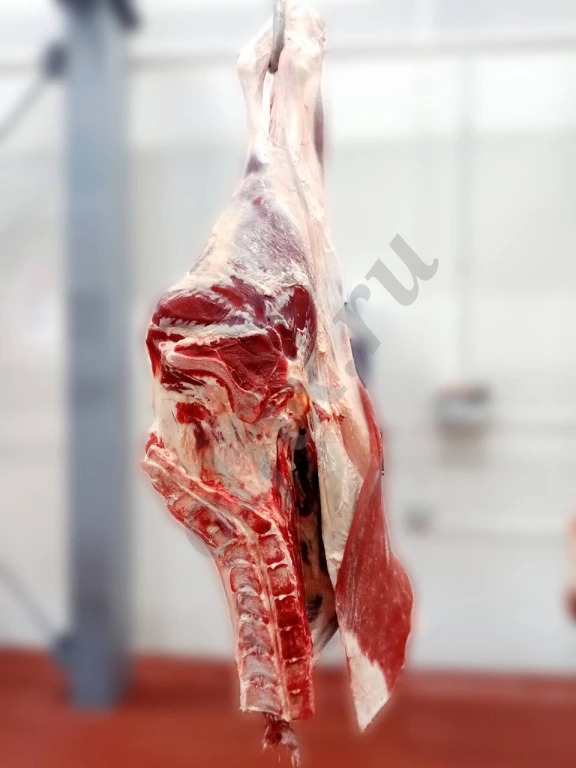 Мясо Говядины оптом