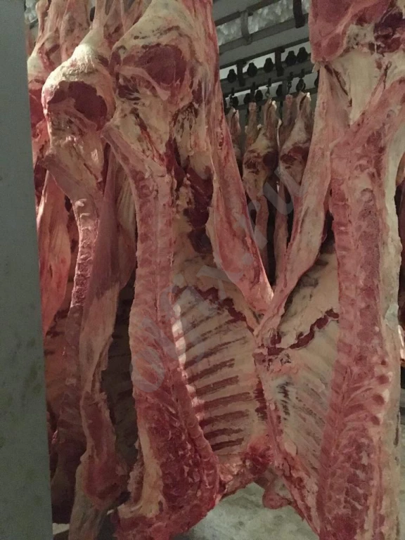 Мясо Говядины оптом