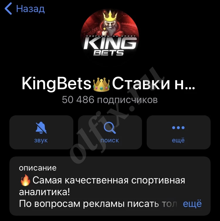 Телеграмм канал со ставками