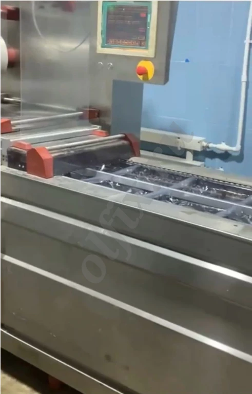 Вакуумная Термоформовочная машина Repak Re20