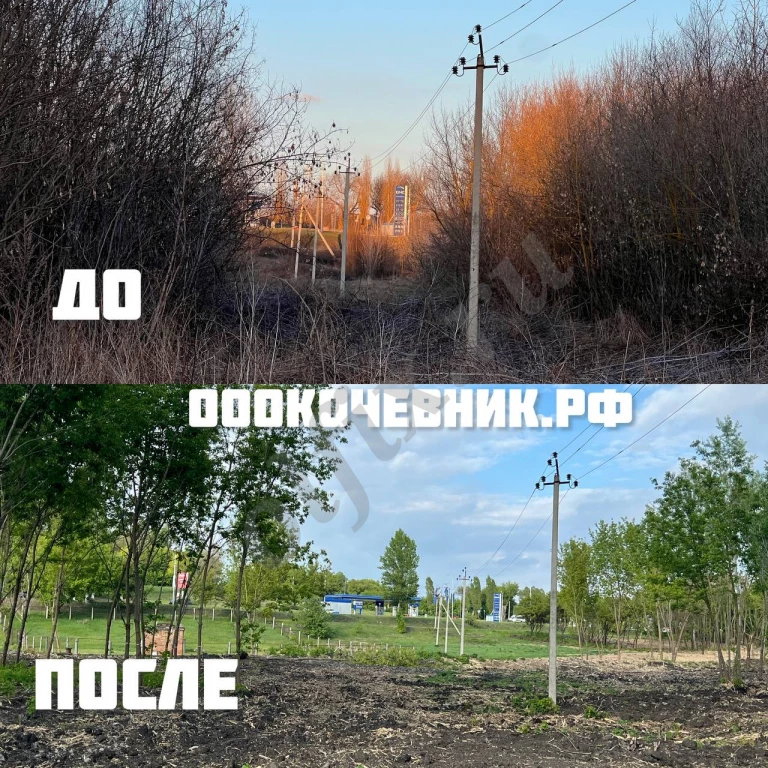 Расчистка территорий от деревьев, кустарников и корней