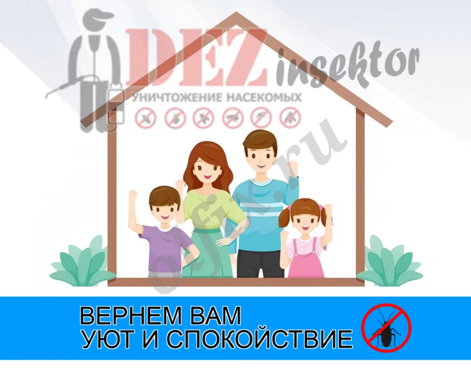 Уничтожение тараканов и других насекомых. Дезинсекция