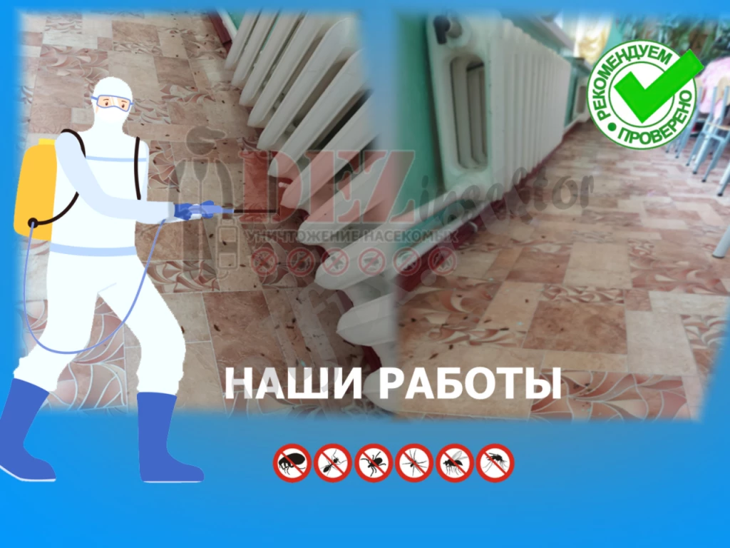 Уничтожение тараканов и других насекомых. Дезинсекция