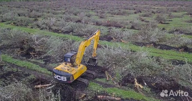 Расчистка территорий от деревьев и пней от 1 Га