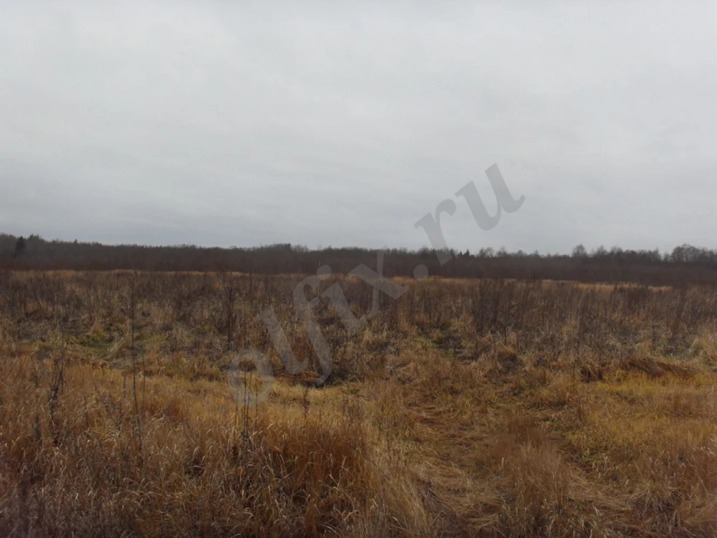 Участок, 1280 сот, Сельхоз (СНТ или ДНП)